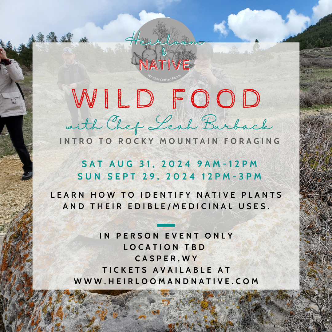 Wild Food: Intro to Rocky Mountain Foraging