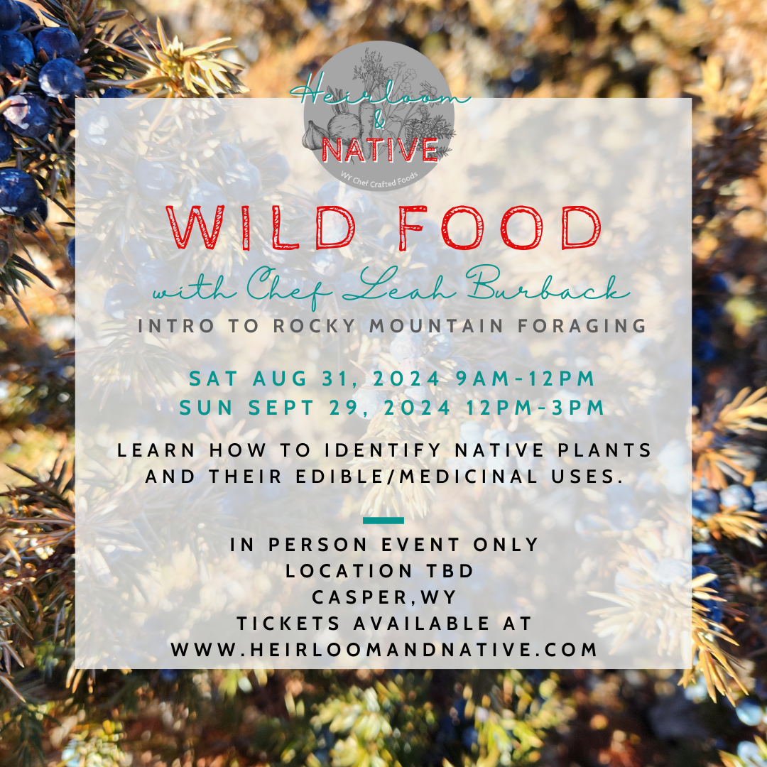 Wild Food: Intro to Rocky Mountain Foraging